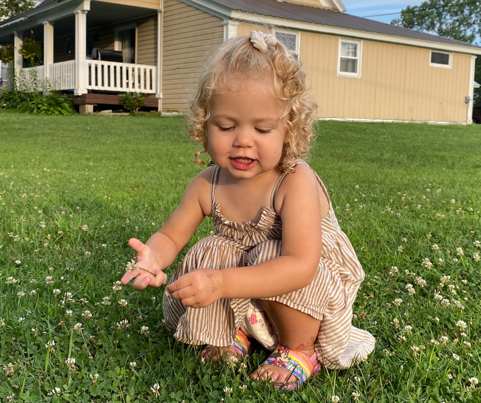 Toddler in a field of clovers