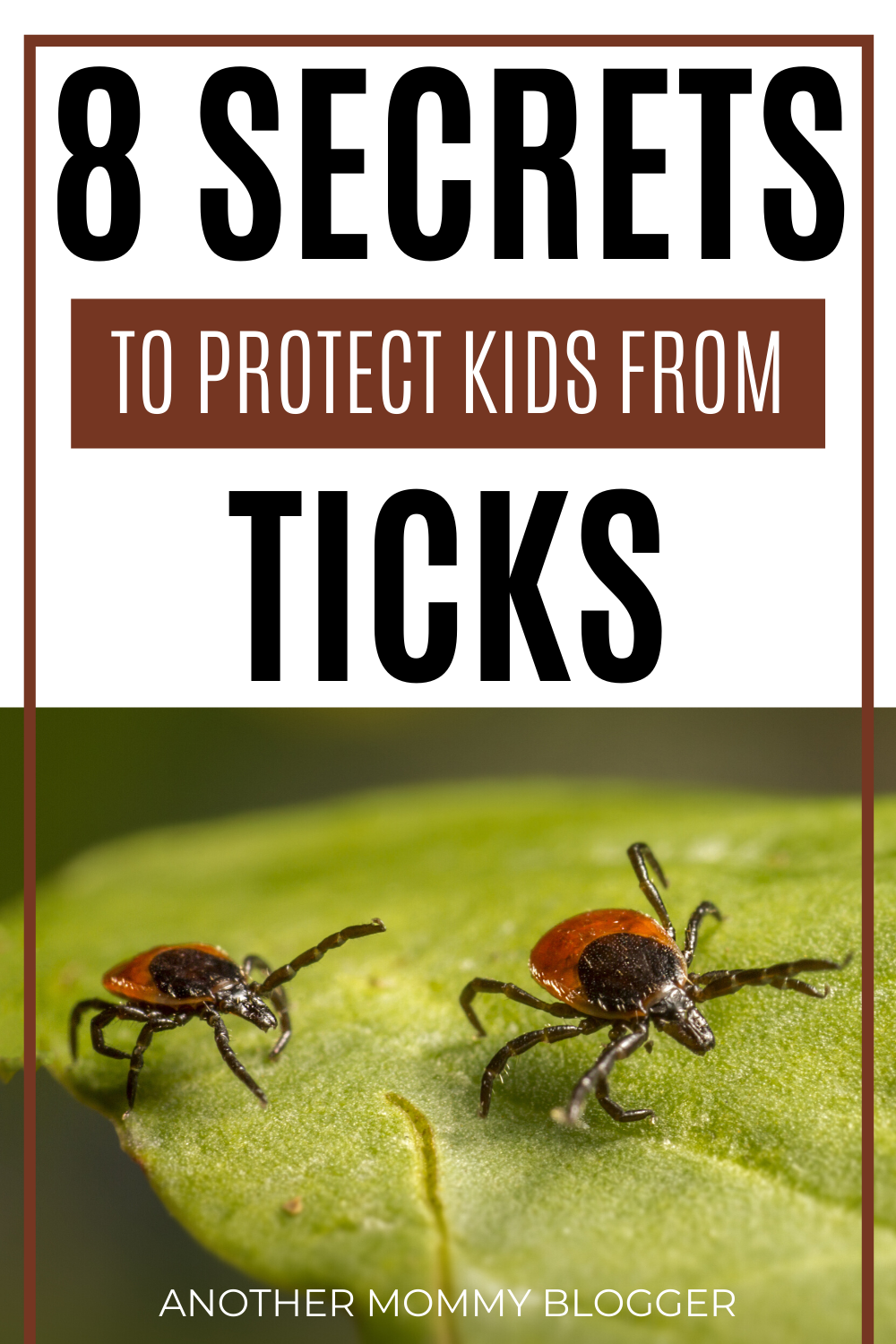 Learn how to avoid ticks and keep your kids safe this summer form these other dangers. #parenting