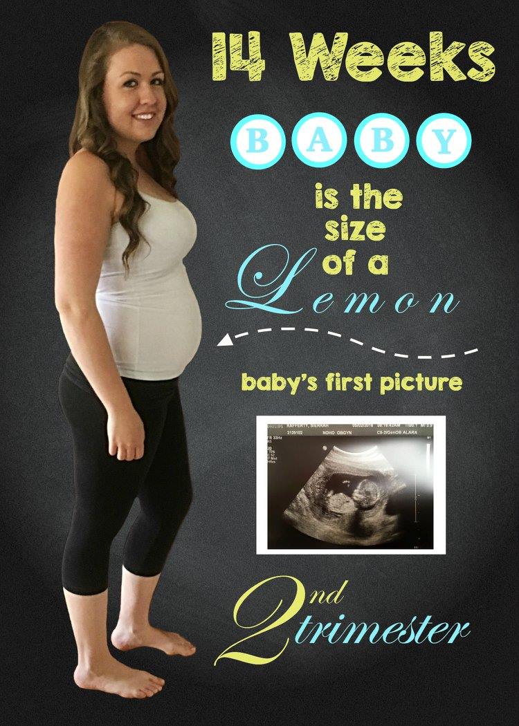 14 Weeks Pregnant Belly Photo