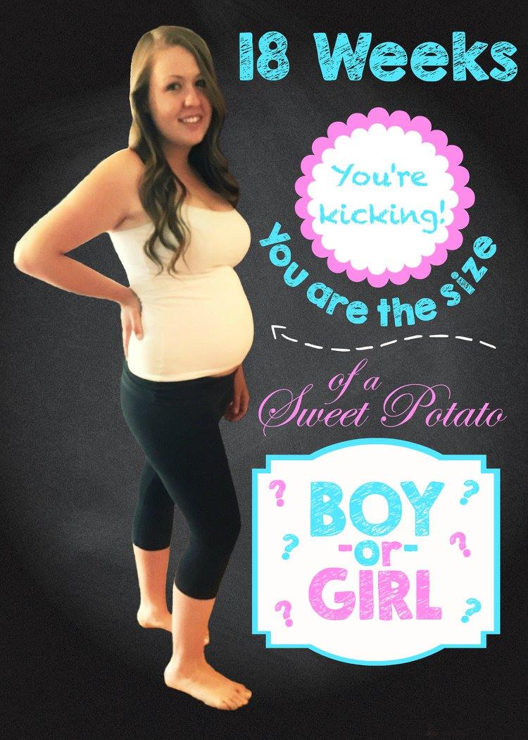 18 Weeks Pregnant Belly Photo