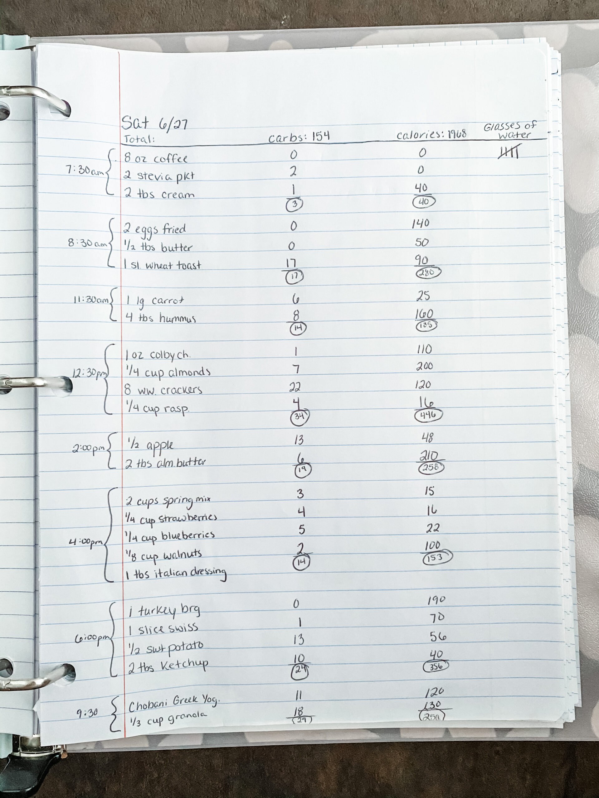 Gestational Diabetes Food Journal