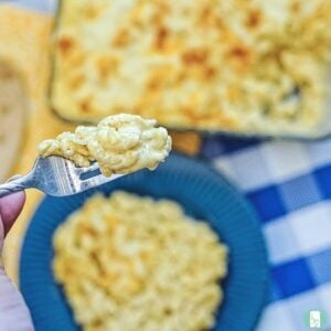 Freezer Mac And Cheese Recipe