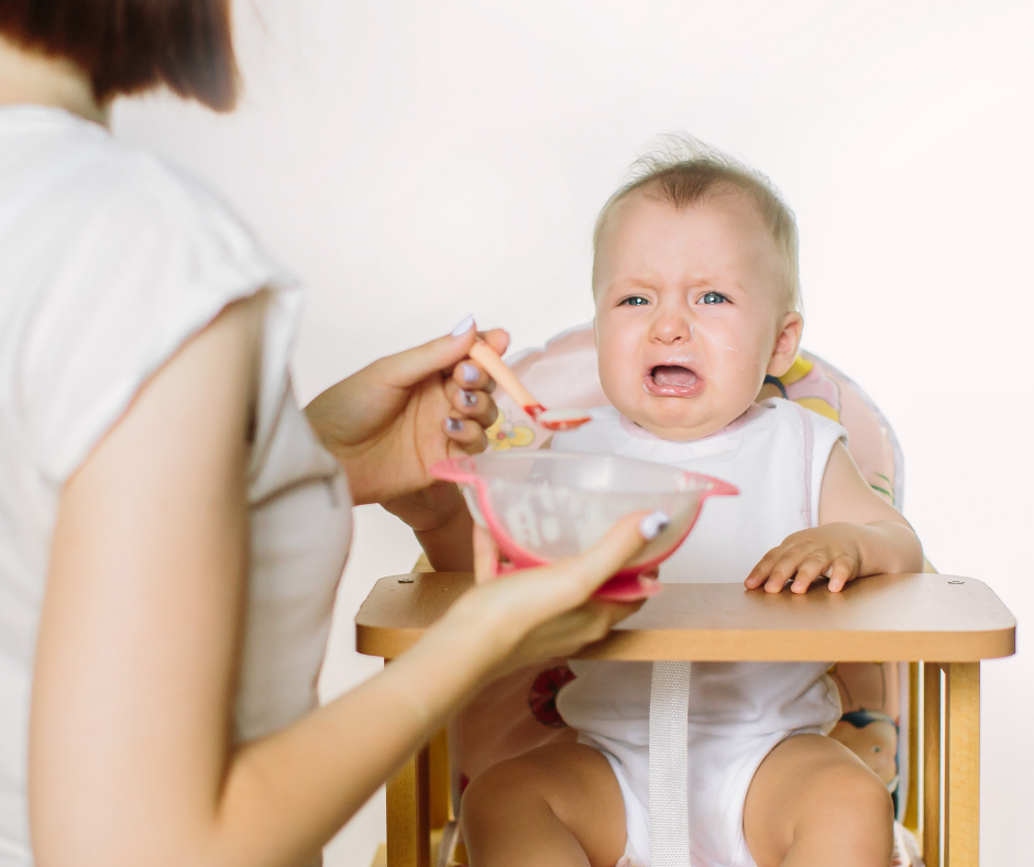 Are Store Bought Baby Foods Safe?