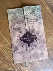 Harry Potter Pregnancy Announcement