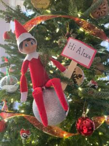 Elf On The Shelf Arrival Ideas