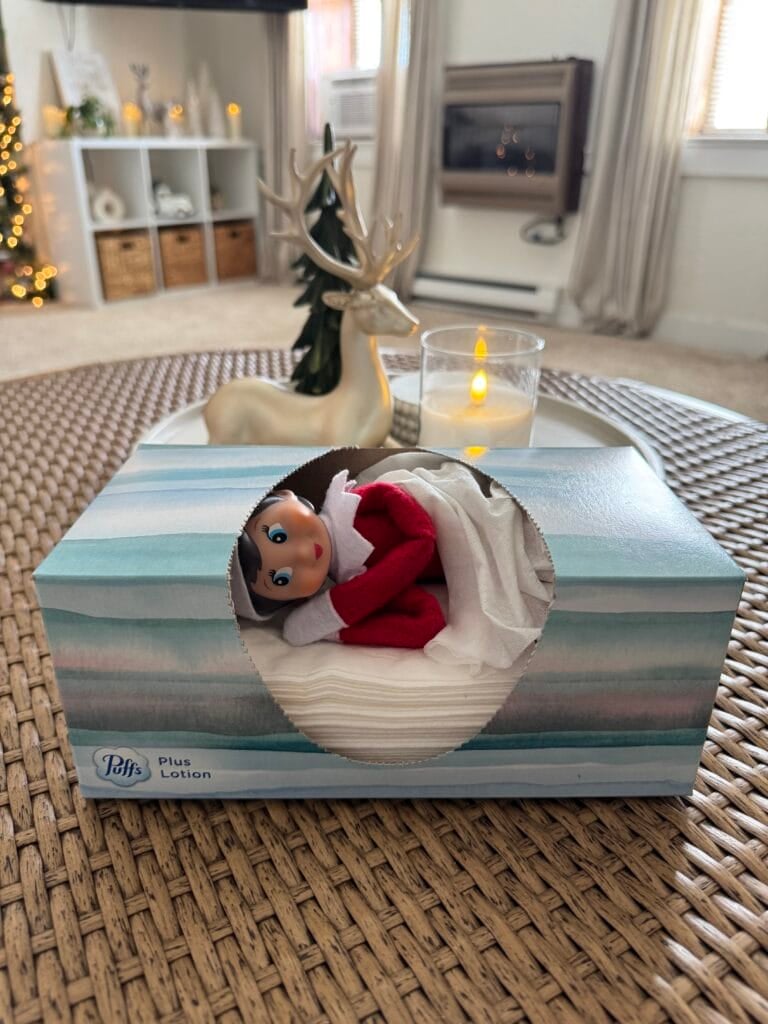Elf on the shelf naps in tissue box