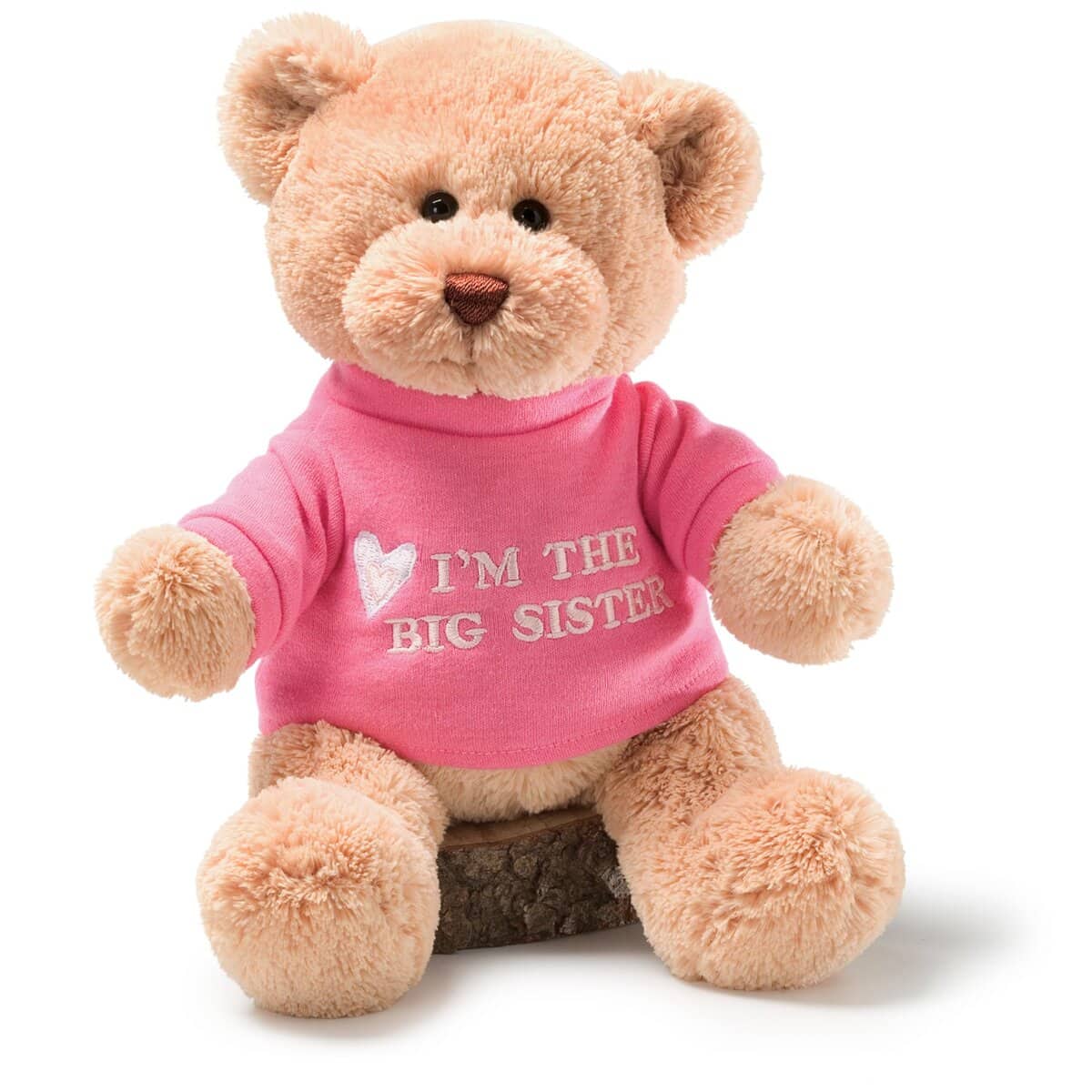 Big sister teddy bear from new baby