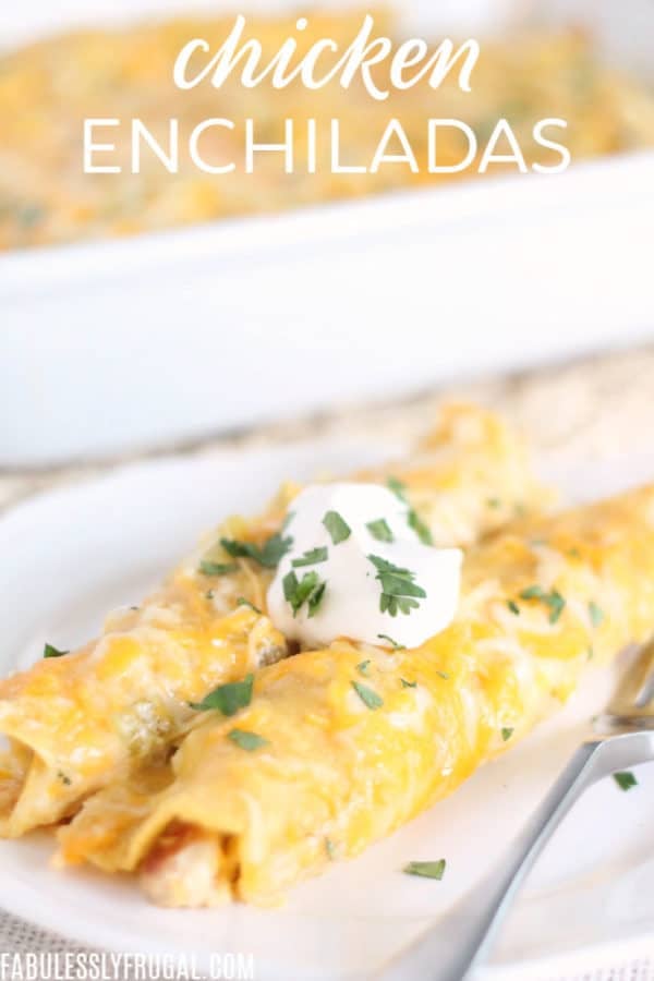 Easy freezer meals for new moms chicken enchiladas 