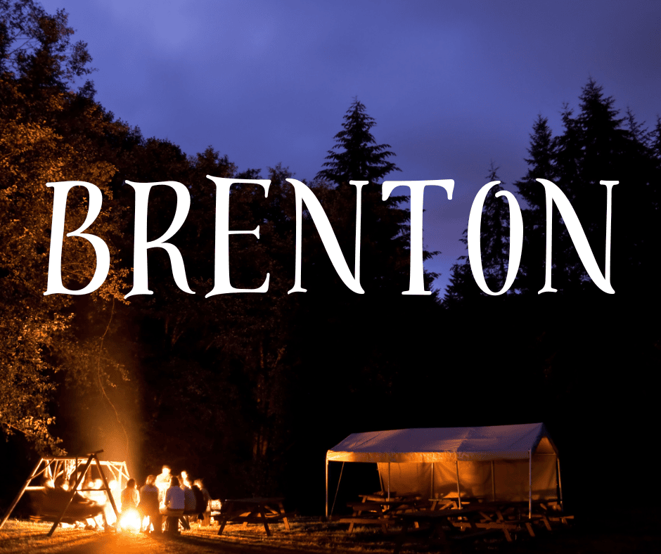 People gathered around a campfire. A black silhouette of trees line the background with a night sky above.