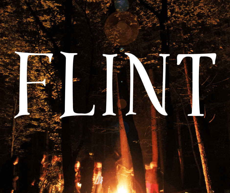 Forrest at night is illuminated by the light of a camp fire. Overlay text is a boy name that means fire. Text reads, “Flint”.
