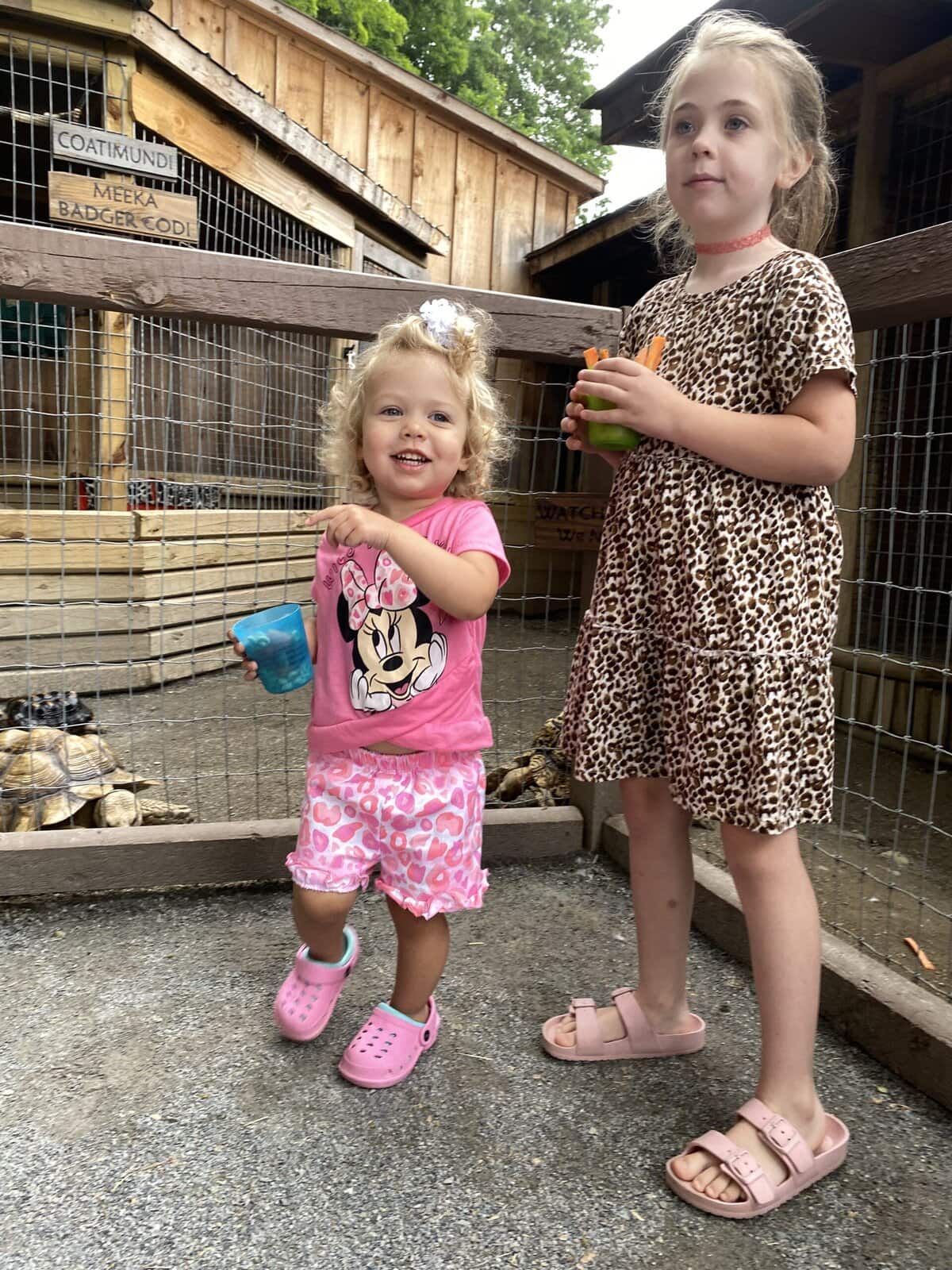 Little girls looking at animals through a zoo fence with excited expressions