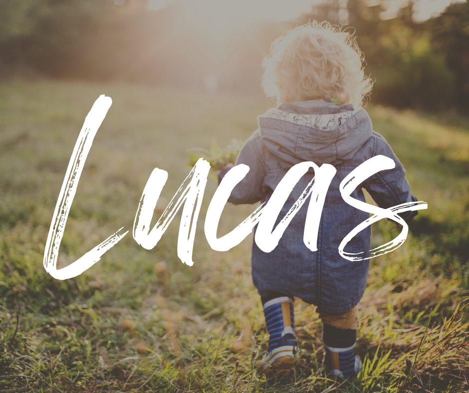 Toddler with curly blonde hair walking through a grassy field in sunlight, wearing a denim jacket, with the name “Lucas” written in large white script across the image.