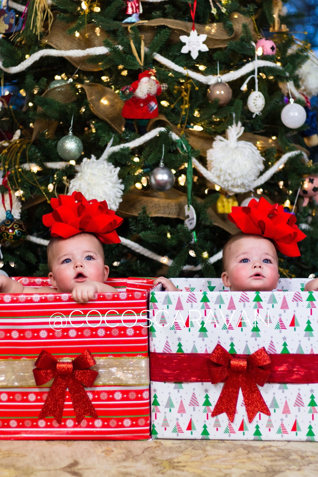 Two babies wearing big red gift-bow headbands sitting inside wrapped Christmas boxes in front of a decorated Christmas tree.