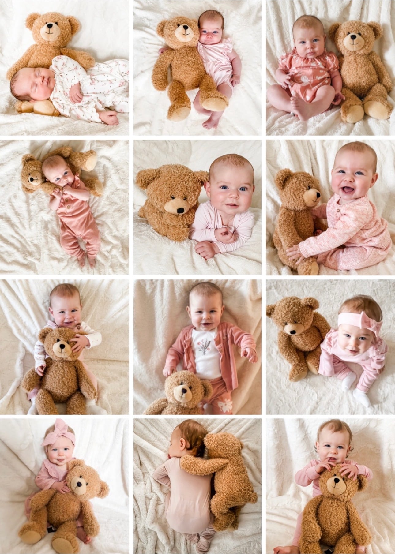 12 Teddy Bear monthly milestone pictures of a baby girl.