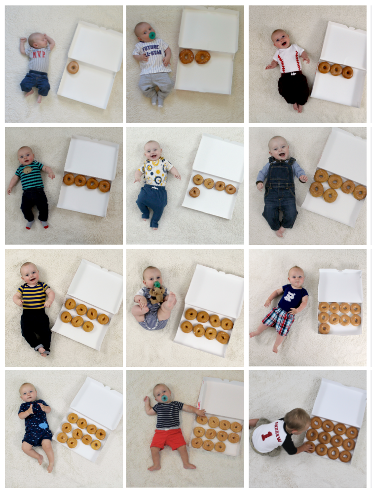 12 donut monthly milestone pictures of baby month by month.