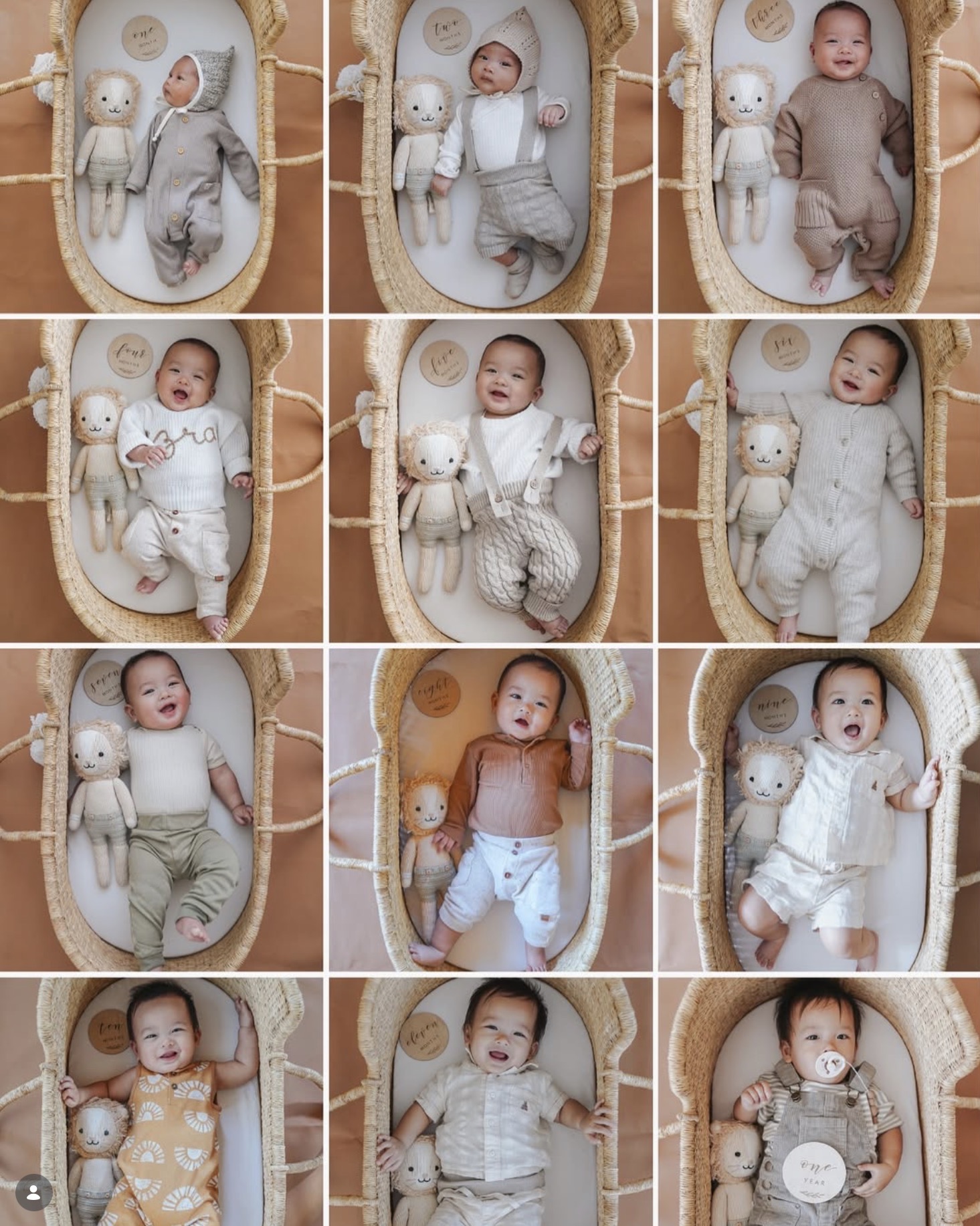 Baby monthly milestone pictures in a bassinet.