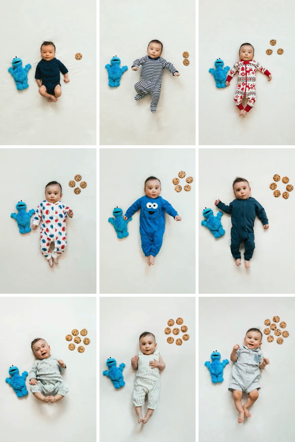 Cookie Monster baby monthly milestone photos of baby on white background next to cookies and Cookie Monster stuffed animal.